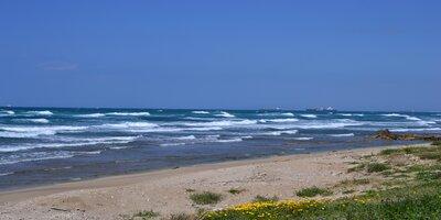 central_beach_area