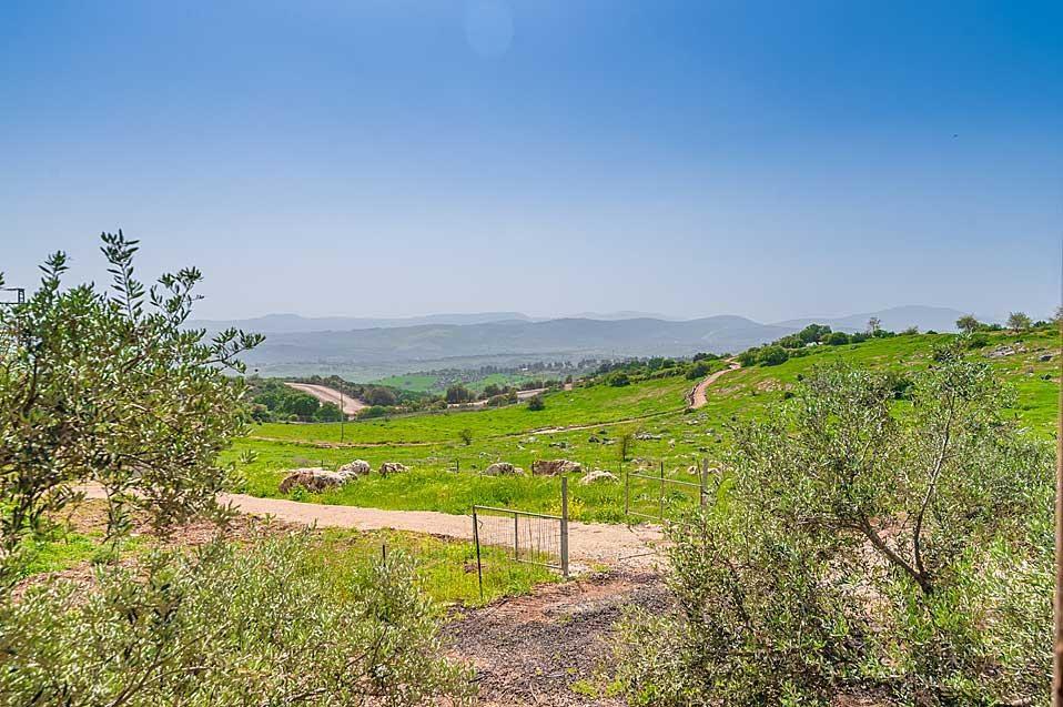 הופעה של מירי מסיקה
